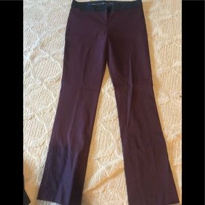 Express pants